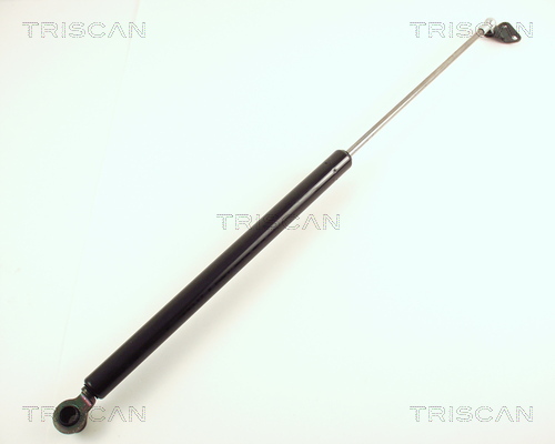 Amortizor portbagaj TRISCAN 871040205