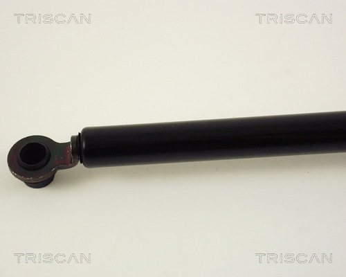 Amortizor portbagaj TRISCAN 871040205