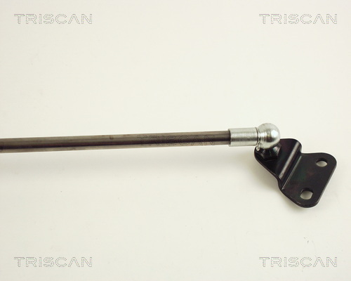 Amortizor portbagaj TRISCAN 871040205