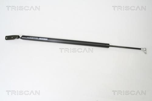 Amortizor portbagaj TRISCAN 871042230