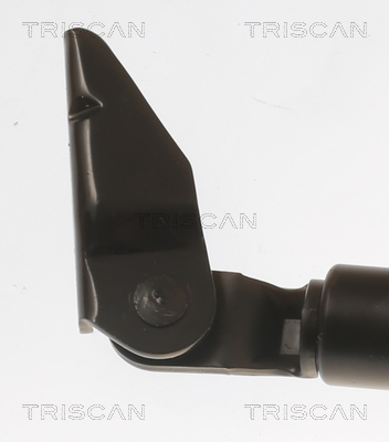 Amortizor portbagaj TRISCAN 871050214
