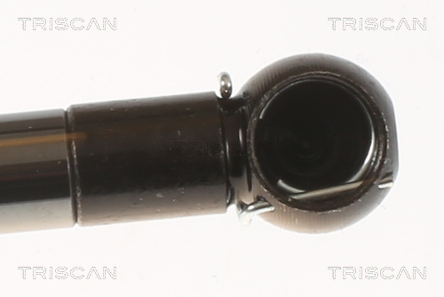 Amortizor portbagaj TRISCAN 871050214