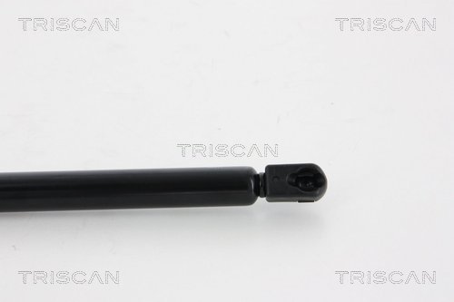 Amortizor portbagaj TRISCAN 871066207