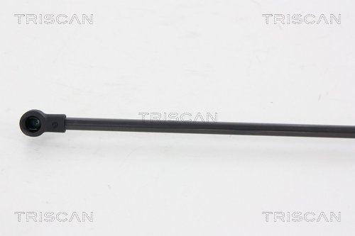 Amortizor portbagaj TRISCAN 871066207