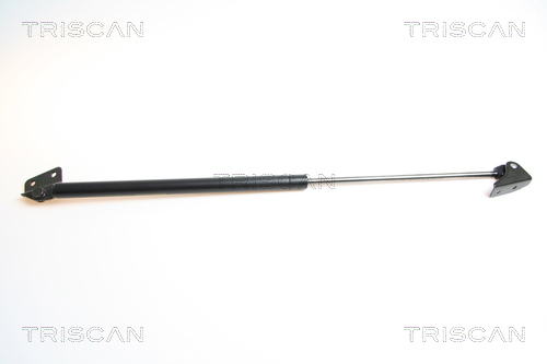 Amortizor portbagaj TRISCAN 871069210