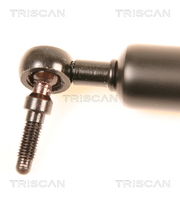 Amortizor portbagaj TRISCAN 871080201