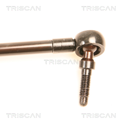 Amortizor portbagaj TRISCAN 871080201