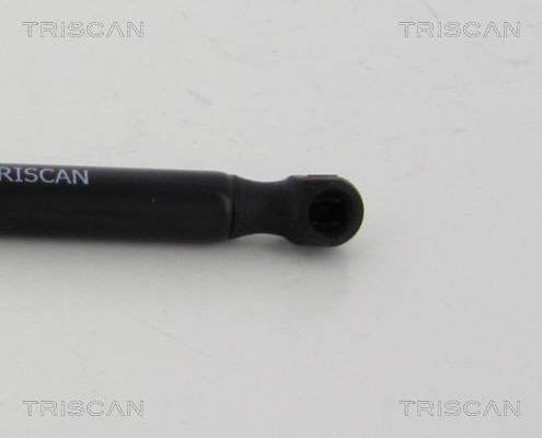 Amortizor portbagaj TRISCAN 871080214