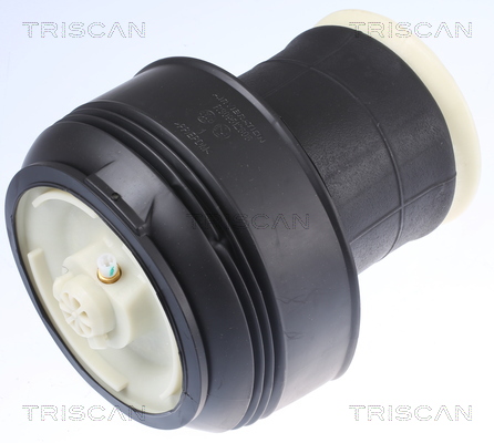 Arc pneumatic directie BMW X5 (E70) 3.0 3.0d  diesel 211 cai TRISCAN 872011203