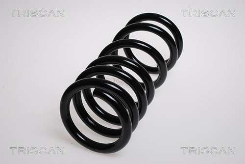 Arc spiral TRISCAN 87504260