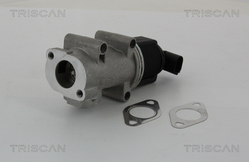 Supapa EGR TRISCAN 881310005