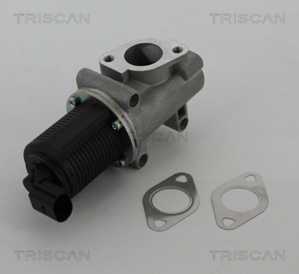 Supapa EGR TRISCAN 881310005