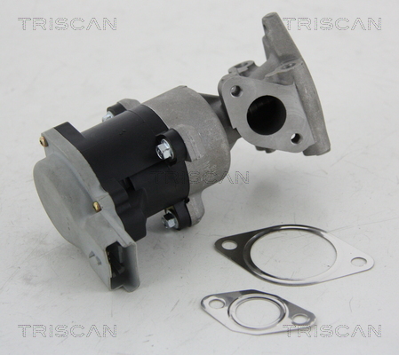 Supapa EGR TRISCAN 881310008