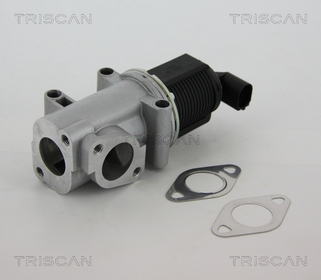 Supapa EGR TRISCAN 881310015