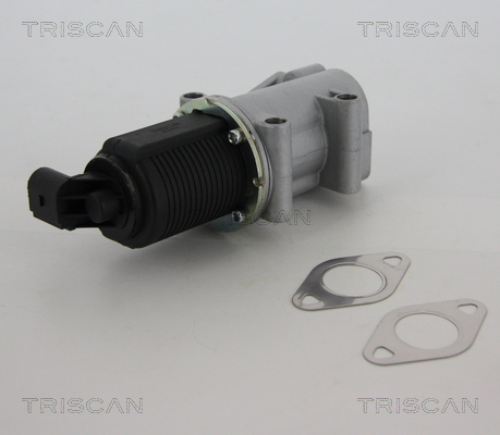 Supapa EGR TRISCAN 881310015