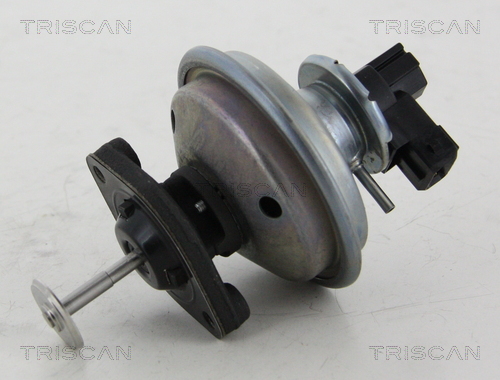Supapa EGR TRISCAN 881311002