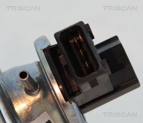 Supapa EGR TRISCAN 881311002