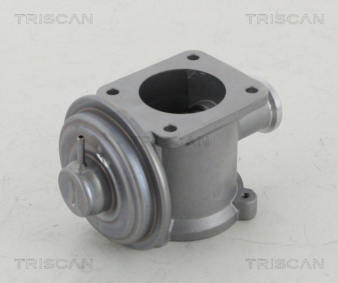Supapa EGR TRISCAN 881311003