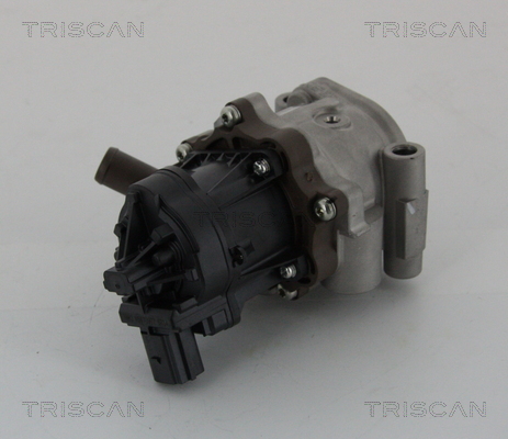 Supapa EGR TRISCAN 881315208