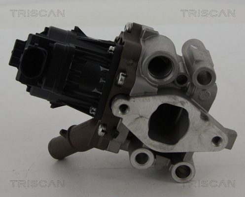 Supapa EGR TRISCAN 881315208