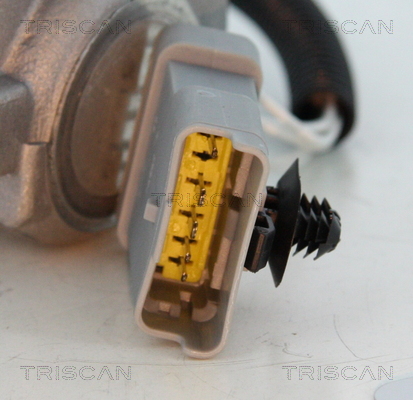 Supapa EGR TRISCAN 881316008