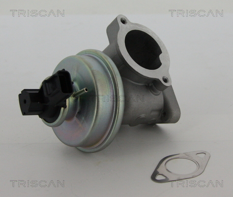 Supapa EGR TRISCAN 881316012