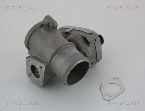 Supapa EGR TRISCAN 881316101