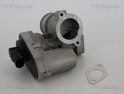 Supapa EGR TRISCAN 881316101