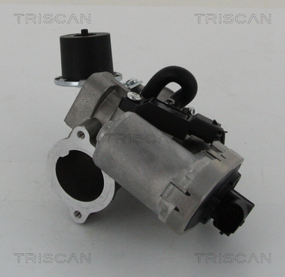Supapa EGR TRISCAN 881316202