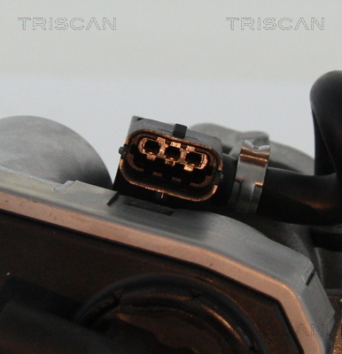 Supapa EGR TRISCAN 881316202