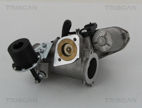 Supapa EGR TRISCAN 881316202
