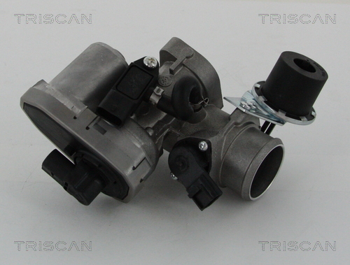 Supapa EGR TRISCAN 881316202
