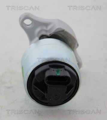Supapa EGR TRISCAN 881321001