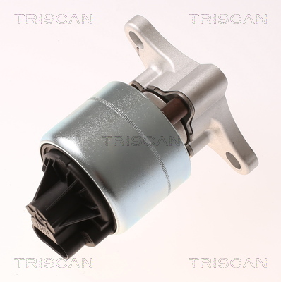 Supapa EGR TRISCAN 8813 21026
