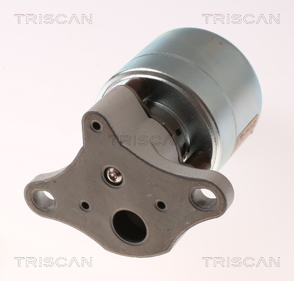 Supapa EGR TRISCAN 881321026