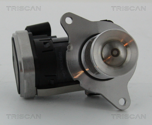 Supapa EGR TRISCAN 881323006