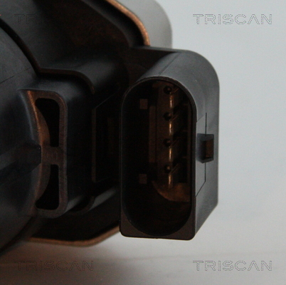 Supapa EGR TRISCAN 881323006