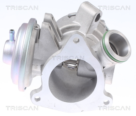 Supapa EGR TRISCAN 881323032
