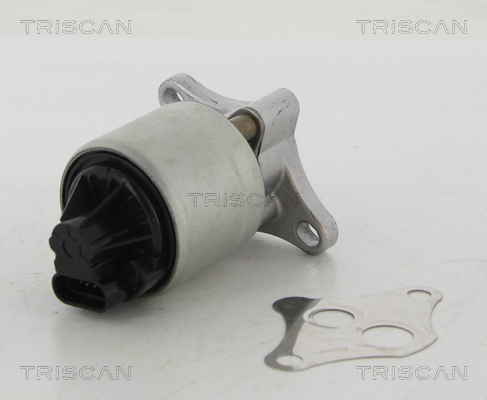 Supapa EGR TRISCAN 8813 24004