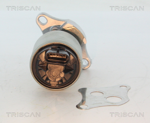 Supapa EGR TRISCAN 881324004