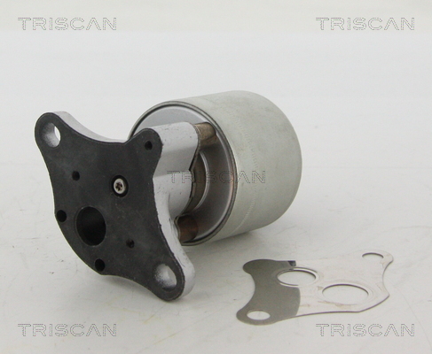 Supapa EGR TRISCAN 881324004