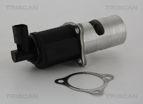 Supapa EGR TRISCAN 881324055