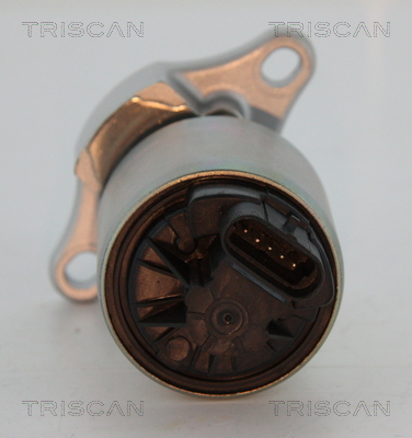 Supapa EGR TRISCAN 881324081