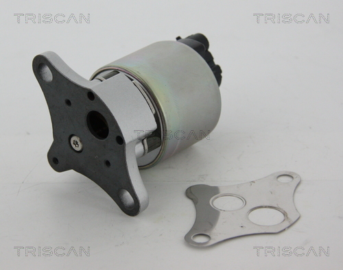Supapa EGR TRISCAN 881324081