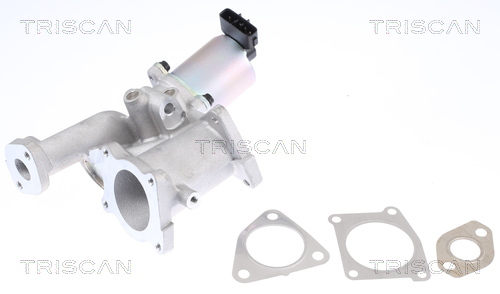 Supapa EGR TRISCAN 881324101