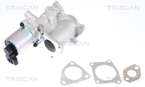 Supapa EGR TRISCAN 881324101