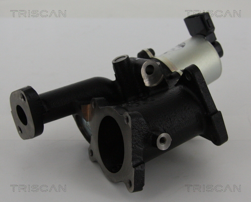 Supapa EGR TRISCAN 881324101