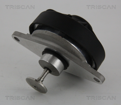 Supapa EGR TRISCAN 881324202