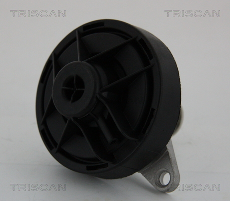 Supapa EGR TRISCAN 881324202