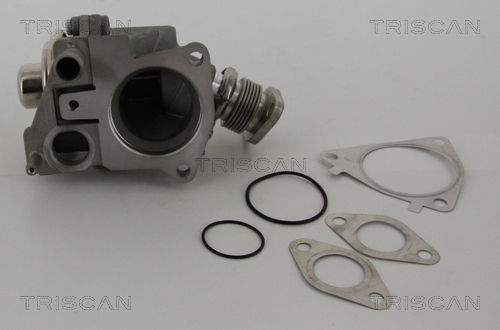 Supapa EGR TRISCAN 881328019